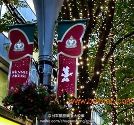 樓體與景觀照明的藝術融合 彩燈串在現代亮化工程中的應用與選擇